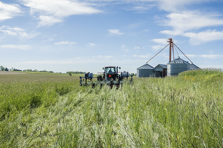 Cover Crops Play A Starring Role In Climate Change Mitigation Farmers Gov   Cover Crop NoTill Farmers Blog Image 